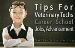 veterinary technician tips guides
